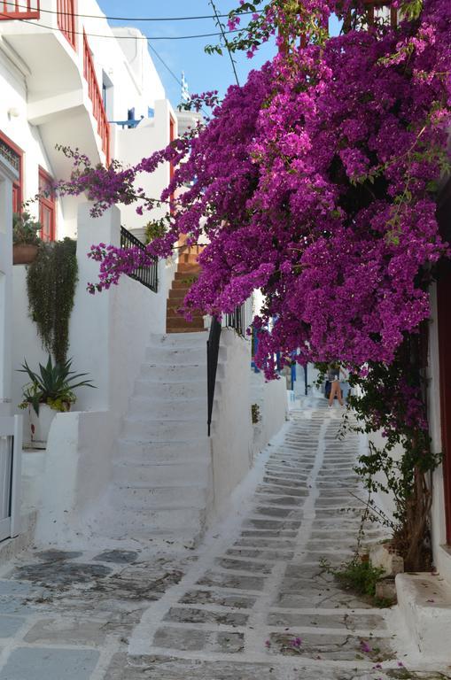 דירות Mykonos Town White And Grey Chora מראה חיצוני תמונה